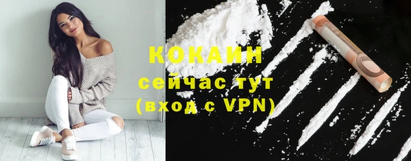 ешки Лагань