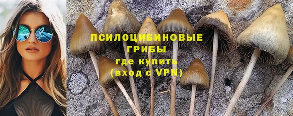 ешки Лагань